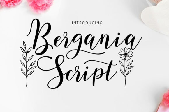 Bergania Script: A Modern Typeface for Elegant & Personal Brands