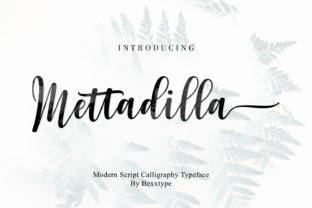 Mettadilla Script: A Fresh Voice for Modern Branding