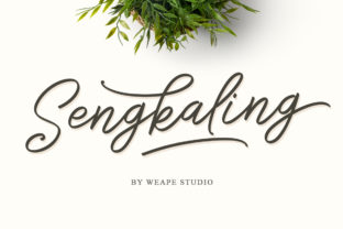 Sengkaling Script: A Monoline Typeface for Modern Branding