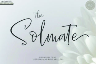 The Solmate Script: Crafting Timeless Brand Identities