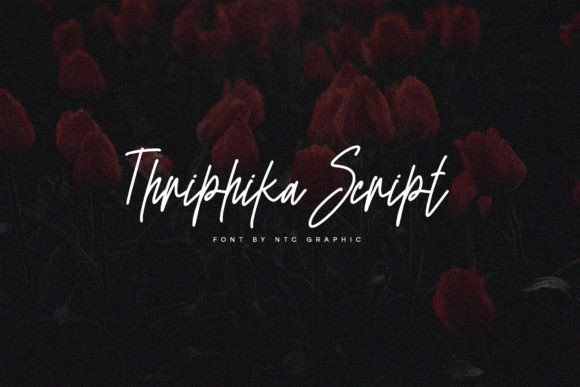 Thriphika Script: A Beautiful Handwritten Typeface for Your Brand